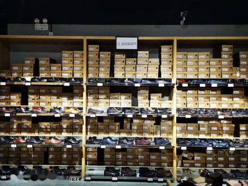 趣踏青,好價享不停