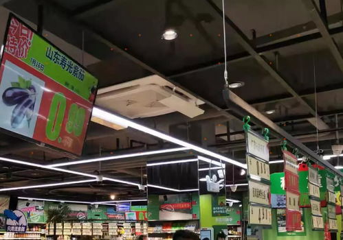 海爾智能金剛入駐安徽生鮮行業最大連鎖店