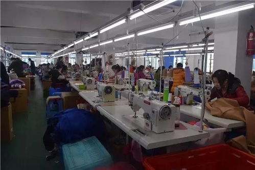 海鹽雙面羊絨工廠店盛大開業，進店有禮，驚喜不斷！